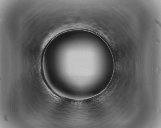 X0000097641512200802291352