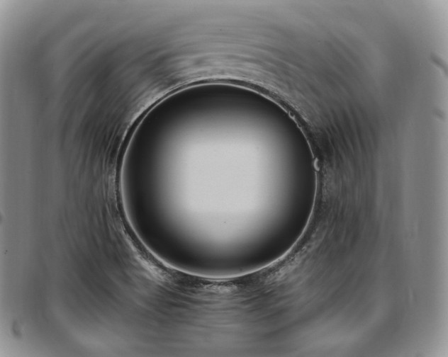 X0000097641513200802291352