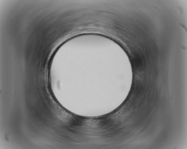 X0000097641514200802291352