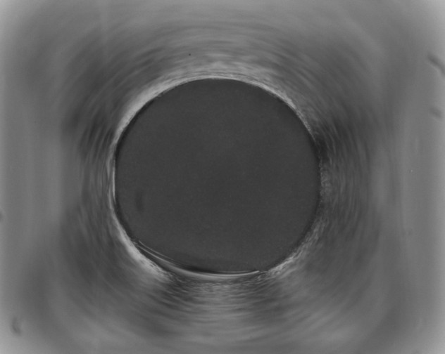 X0000097641515200802291352