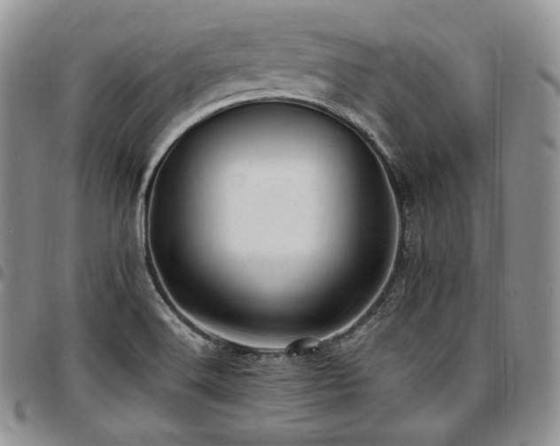 X0000097641516200802291352