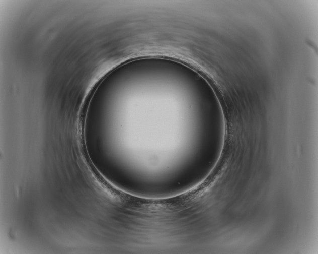 X0000097641517200802291352