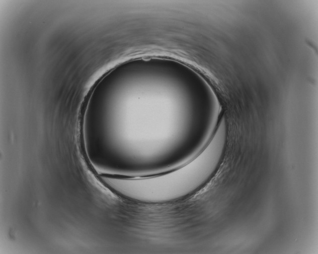 X0000097641518200802291352