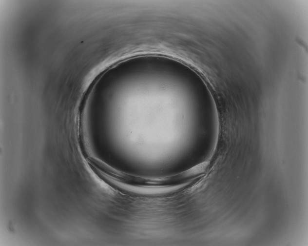 X0000097641519200802291352