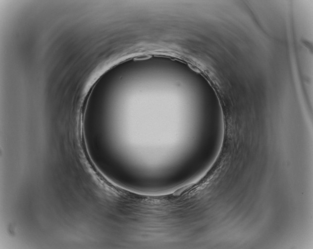 X0000097641520200802291352