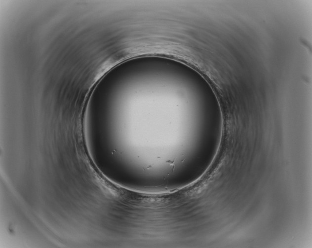 X0000097641521200802291352
