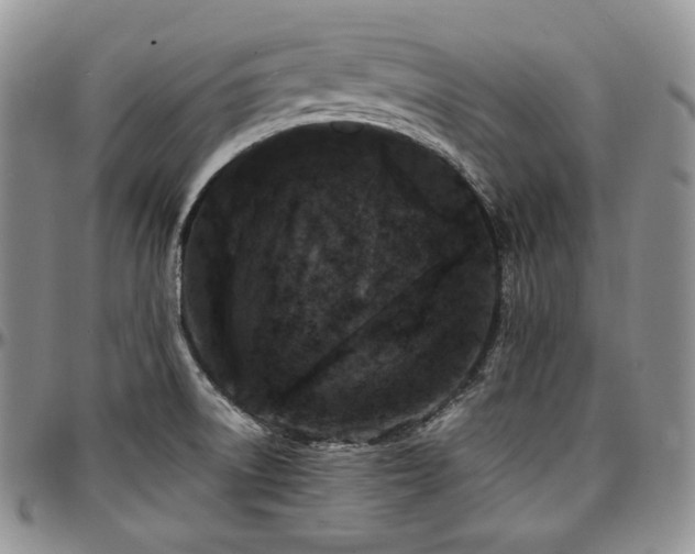 X0000097641522200802291352