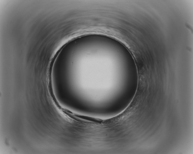 X0000097641523200802291352