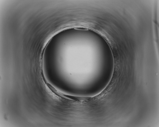 X0000097641524200802291352