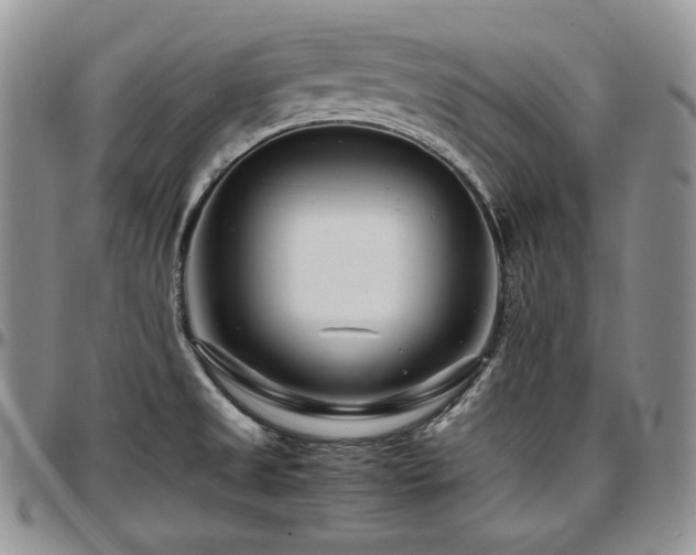 X0000097641525200802291352
