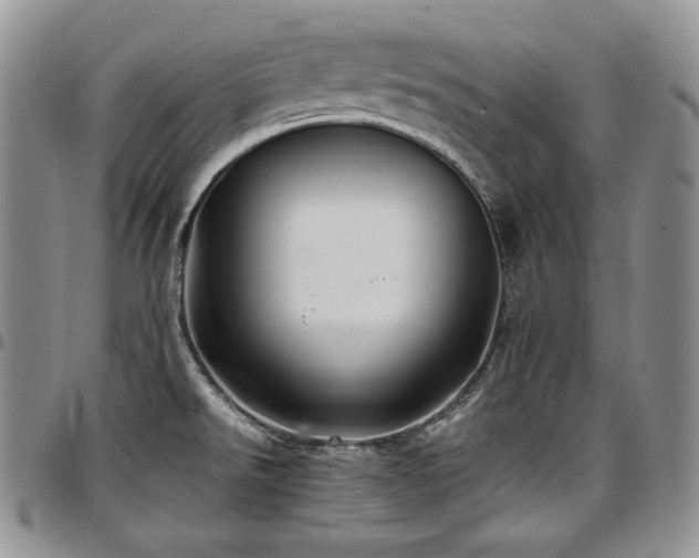 X0000097641526200802291352