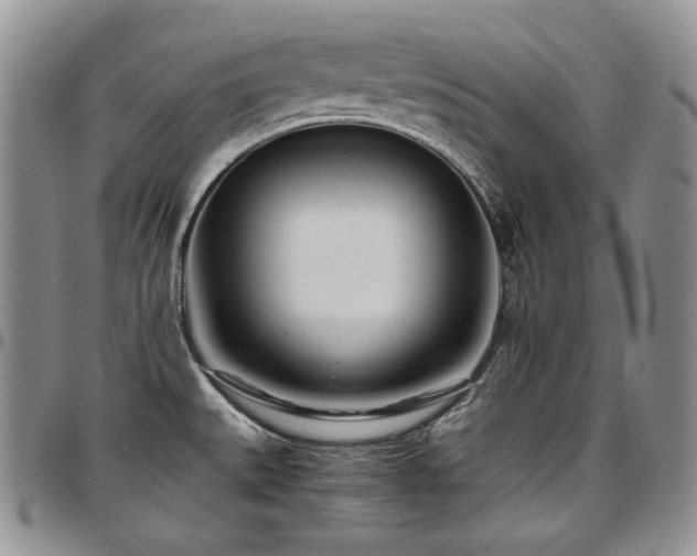 X0000097641527200802291352