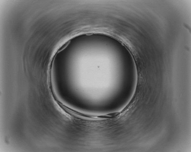 X0000097641528200802291352