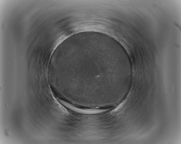 X0000097641529200802291352