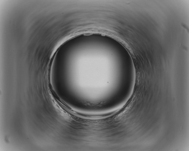 X0000097641530200802291352