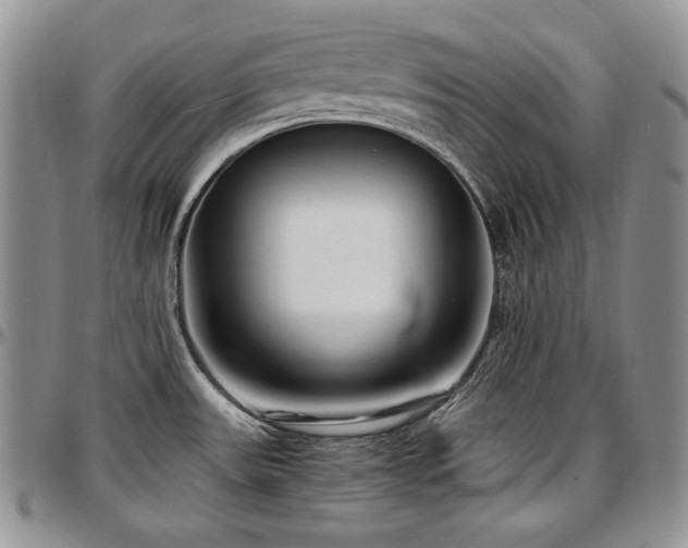 X0000097641531200802291352
