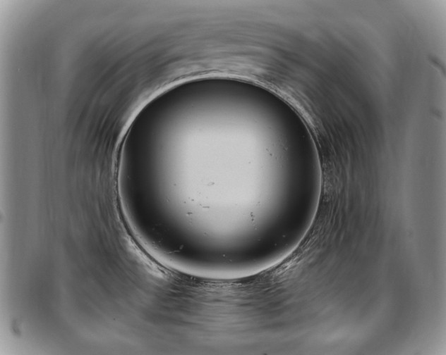 X0000097641532200802291352