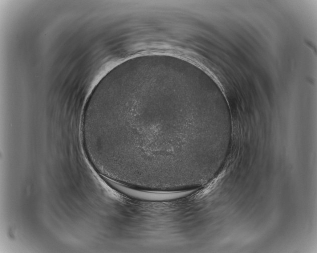 X0000097641533200802291352