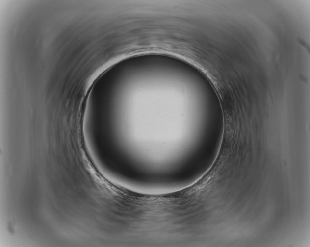 X0000097641534200802291352