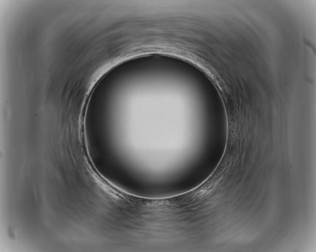 X0000097641535200802291352