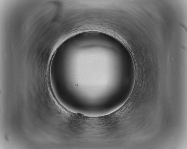 X0000097641536200802291352