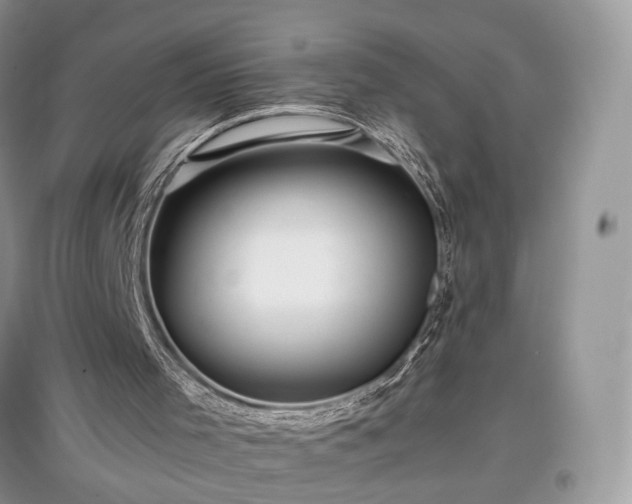 X0000097640001200803071602