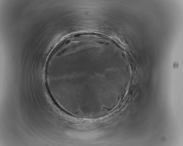 X0000097640002200803071602