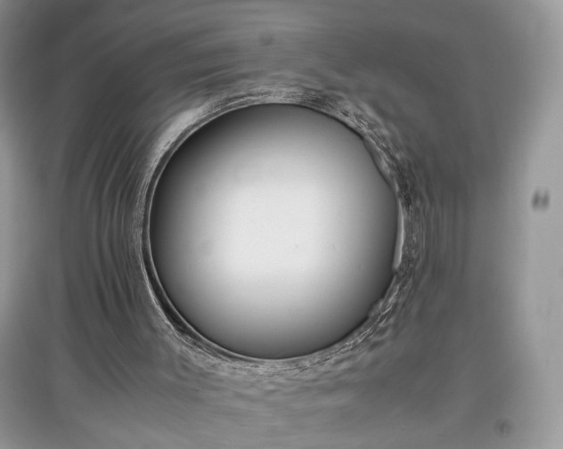 X0000097640003200803071602