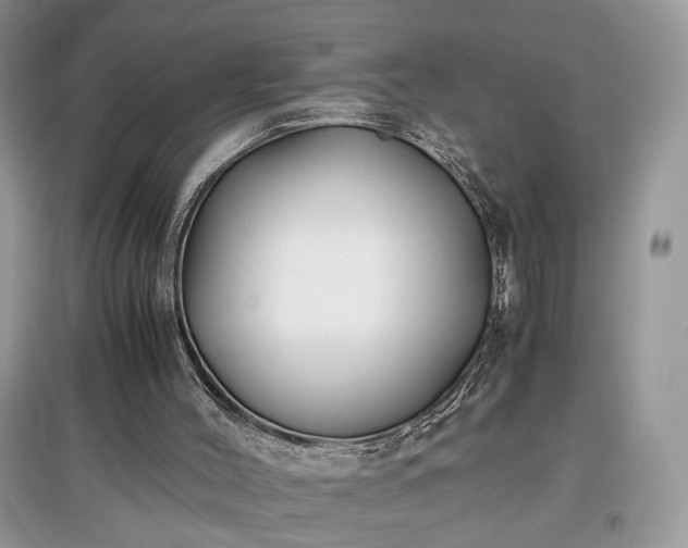 X0000097640004200803071602