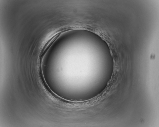 X0000097640005200803071602