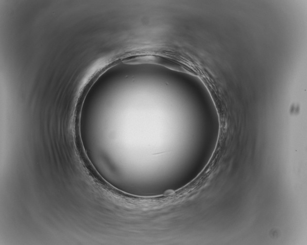 X0000097640006200803071602