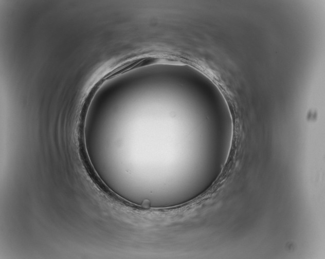 X0000097640007200803071602