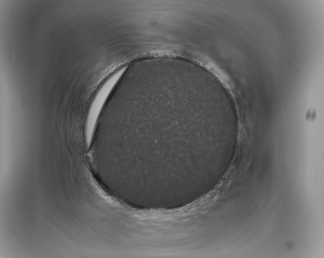 X0000097640009200803071602