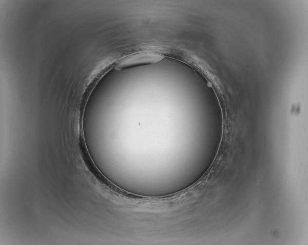 X0000097640011200803071602