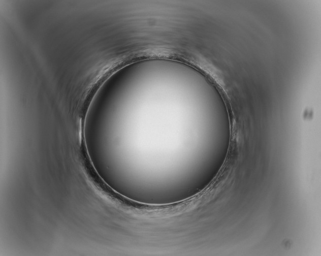 X0000097640013200803071602