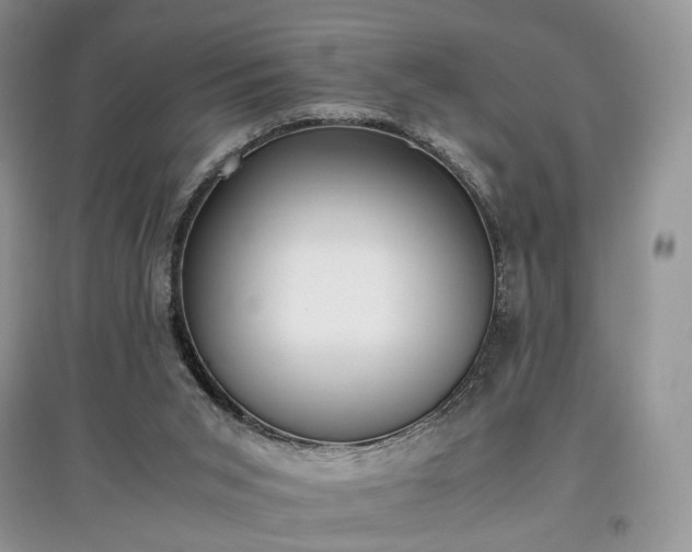 X0000097640015200803071602