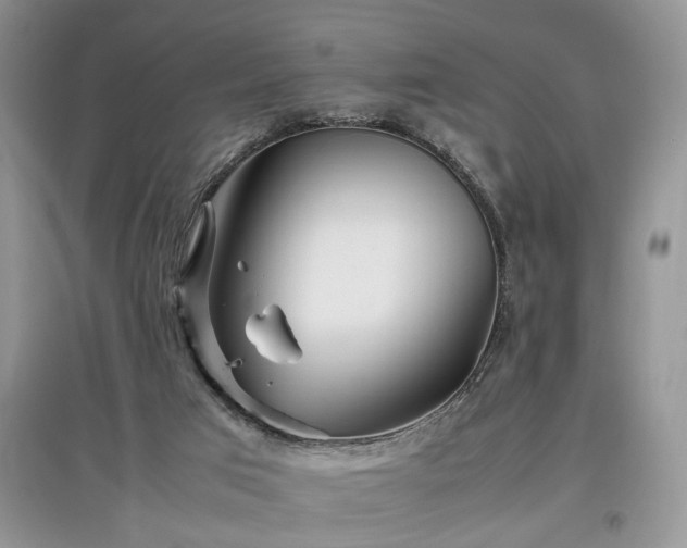 X0000097640017200803071602