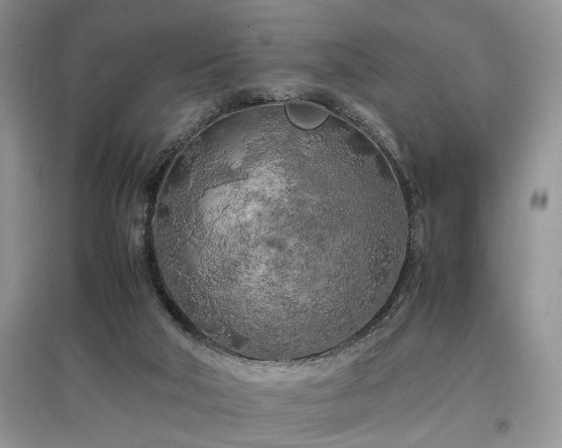 X0000097640018200803071602