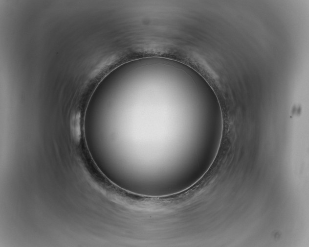 X0000097640020200803071602