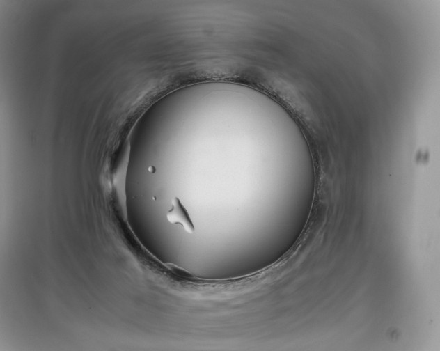 X0000097640021200803071602