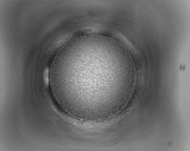 X0000097640022200803071602