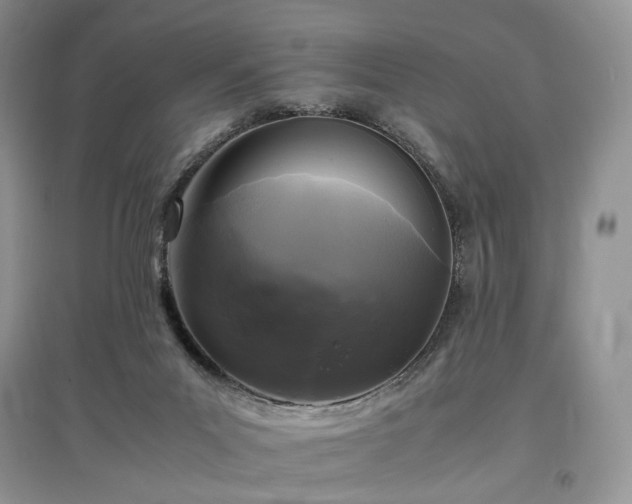 X0000097640023200803071602