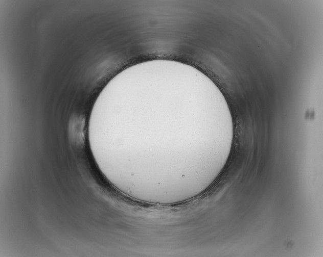 X0000097640024200803071602