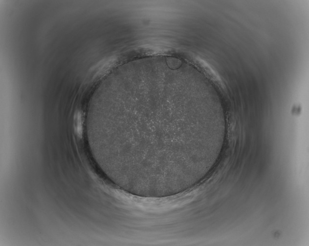 X0000097640026200803071602