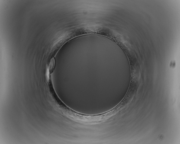 X0000097640027200803071602