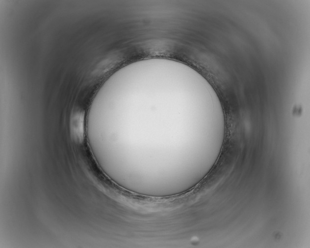 X0000097640028200803071602