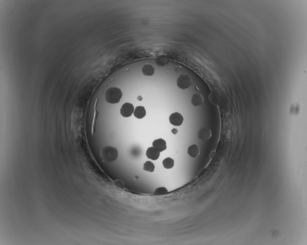 X0000097640030200803071602