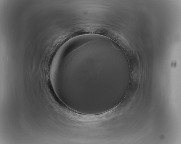 X0000097640031200803071602