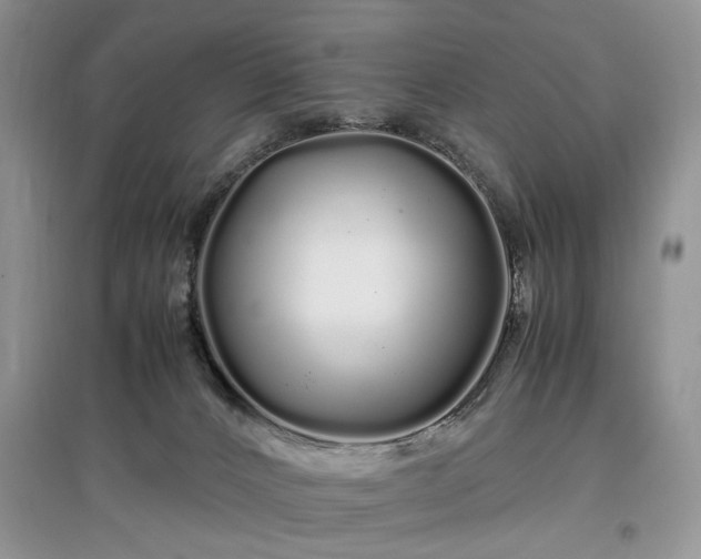 X0000097640032200803071602