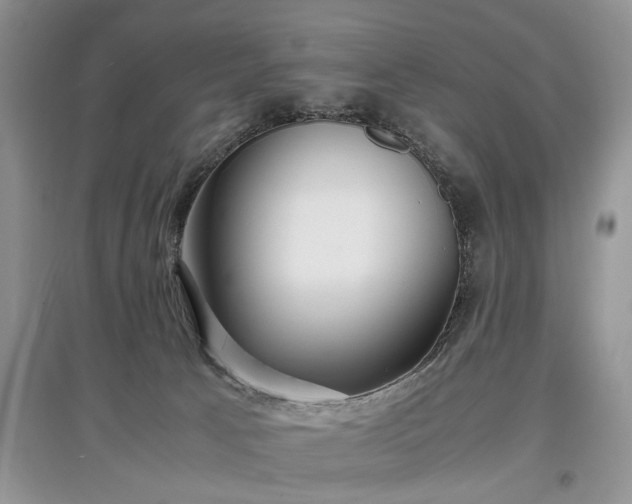 X0000097640033200803071602